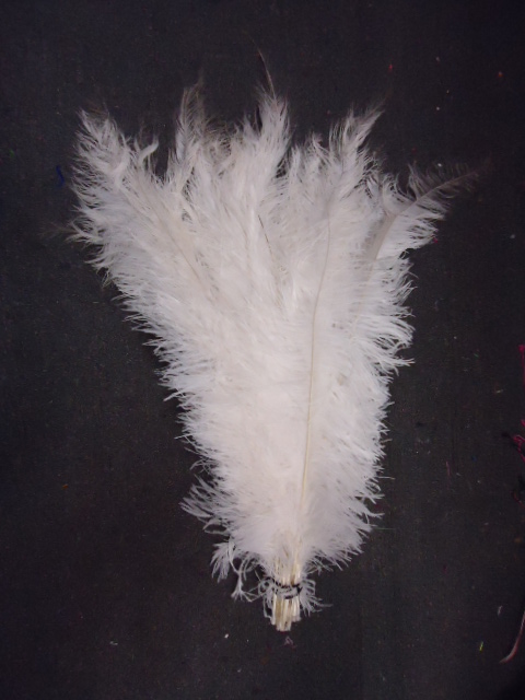 ostrich plumes bulk